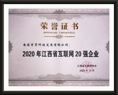 江西省互联网20强企业